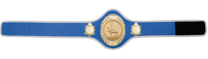 WRESTLING BELT-PRO286/G/WRESTG-10+ COLOURS